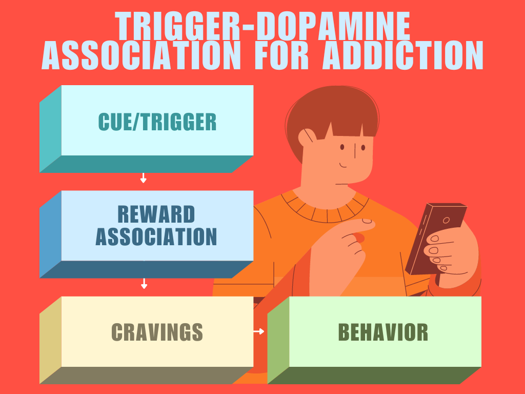 Visual representation of the trigger-dopamine association, highlighting its role in the addictive process.
